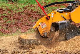 Best Commercial Tree Services  in Kalispell, MT